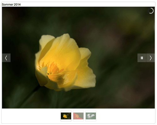 Homepage mit Bildergalerie