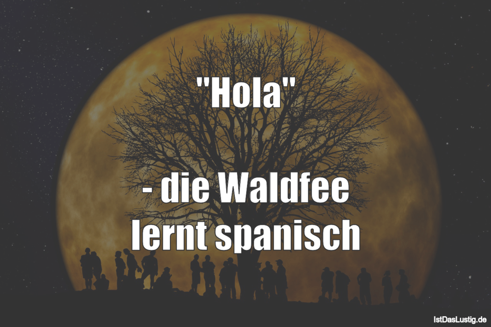 Lustiger BilderSpruch - "Hola"  - die Waldfee lernt spanisch