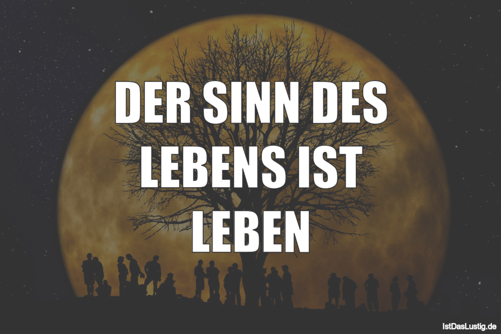 Lustiger BilderSpruch - DER SINN DES LEBENS IST LEBEN