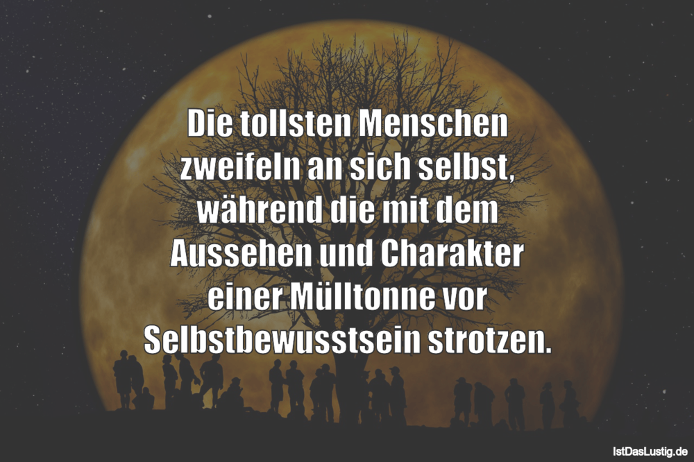 Lustiger BilderSpruch - Die tollsten Menschen zweifeln an sich selbst, ...