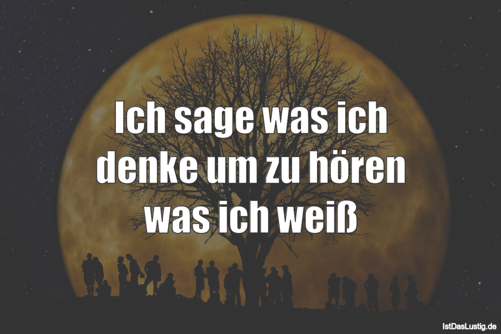 Lustiger BilderSpruch - Ich sage was ich denke um zu hören was ich weiß