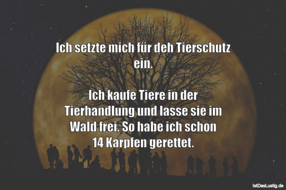 Get Joggen im wald spruch For Android Free Joggen Im Wald Spruch