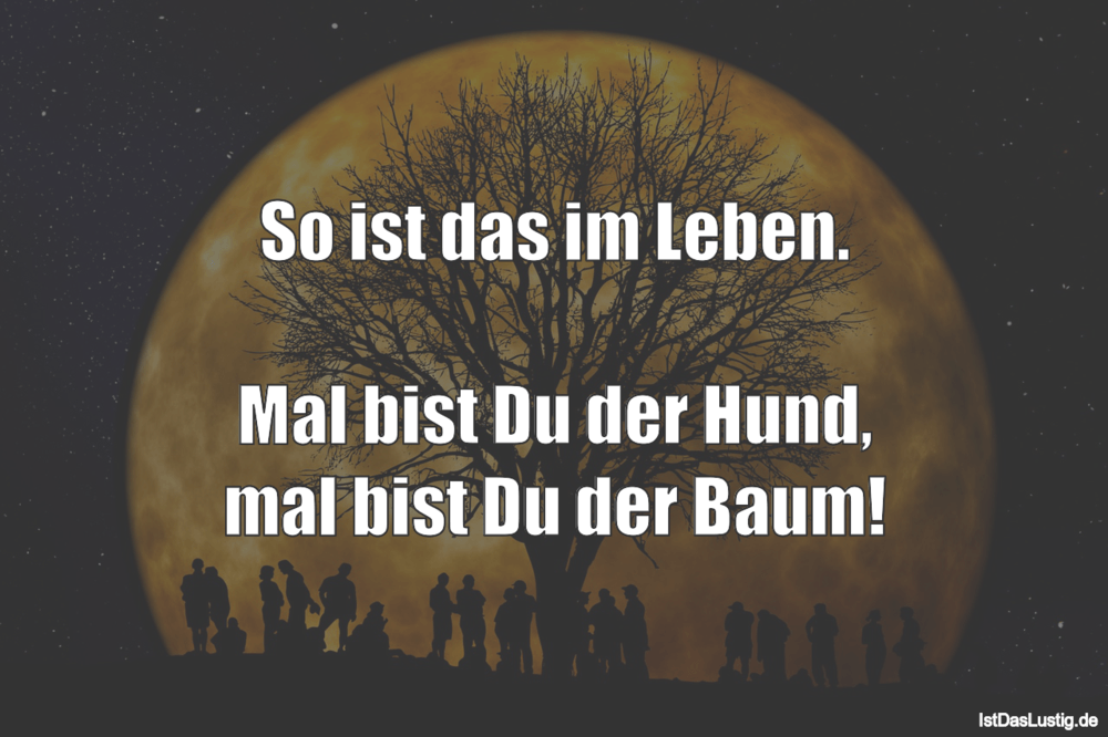 So Ist Das Im Leben Mal Bist Du Der Hund Mal