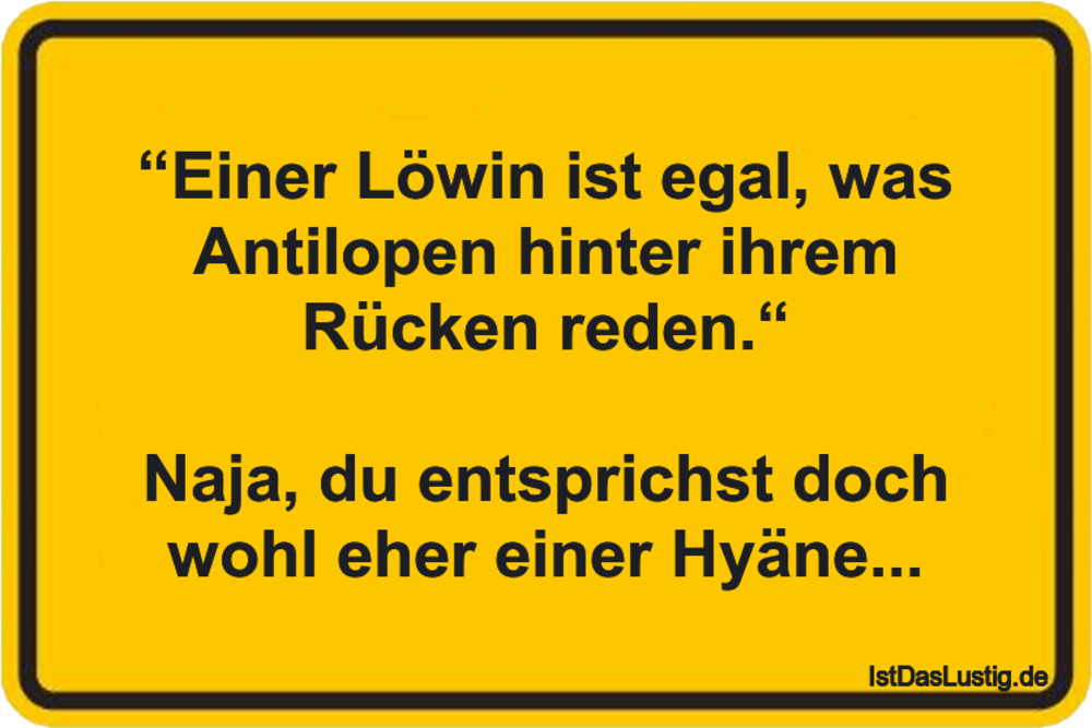 Lustiger BilderSpruch - “Einer Löwin ist egal, was Antilopen hinter ihr...