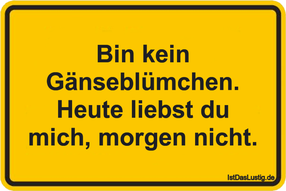 Bin Kein Ganseblumchen Heute Liebst Du Mich M
