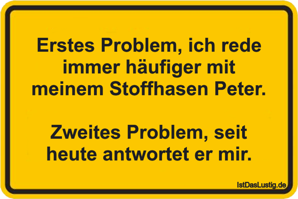 Lustiger BilderSpruch - Erstes Problem, ich rede immer häufiger mit...