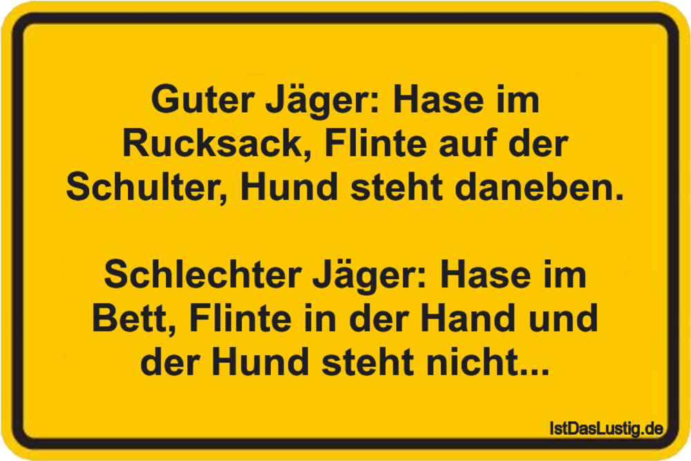 Die Besten 3 Hase Spruche Auf Istdaslustig De