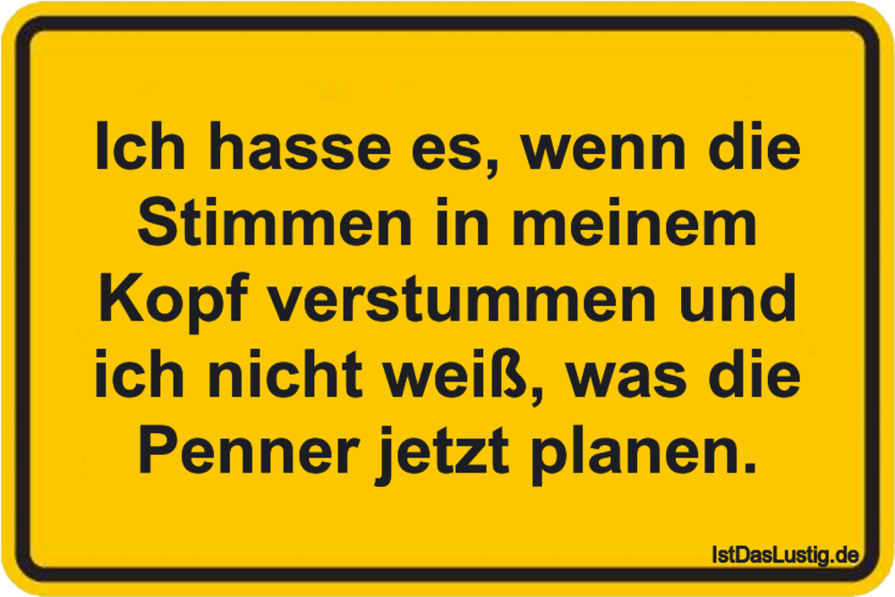 Ich Hasse Es Wenn Die Stimmen In Meinem Kopf V Istdaslustig De Stimmen In Meinem Kopf Sprüche