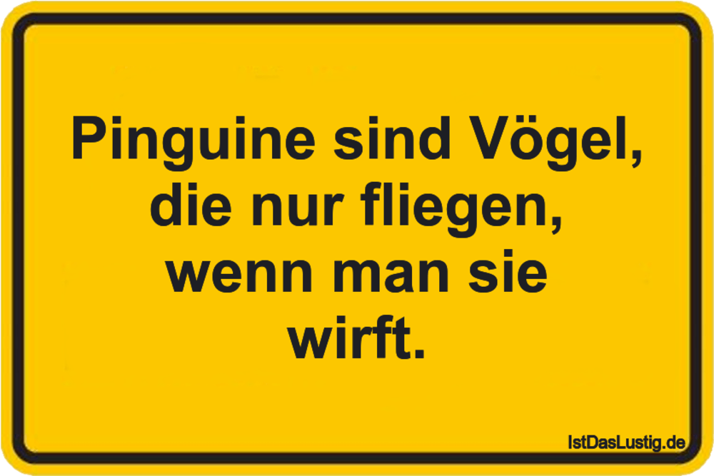 Pinguine sind Vögel, die nur fliegen, wenn man - IstDasLustig.de