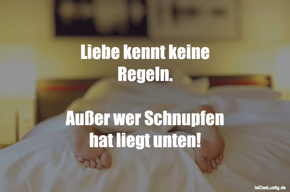 Liebe Kennt Keine Regeln Ausser Wer Schnupfen Istdaslustig De