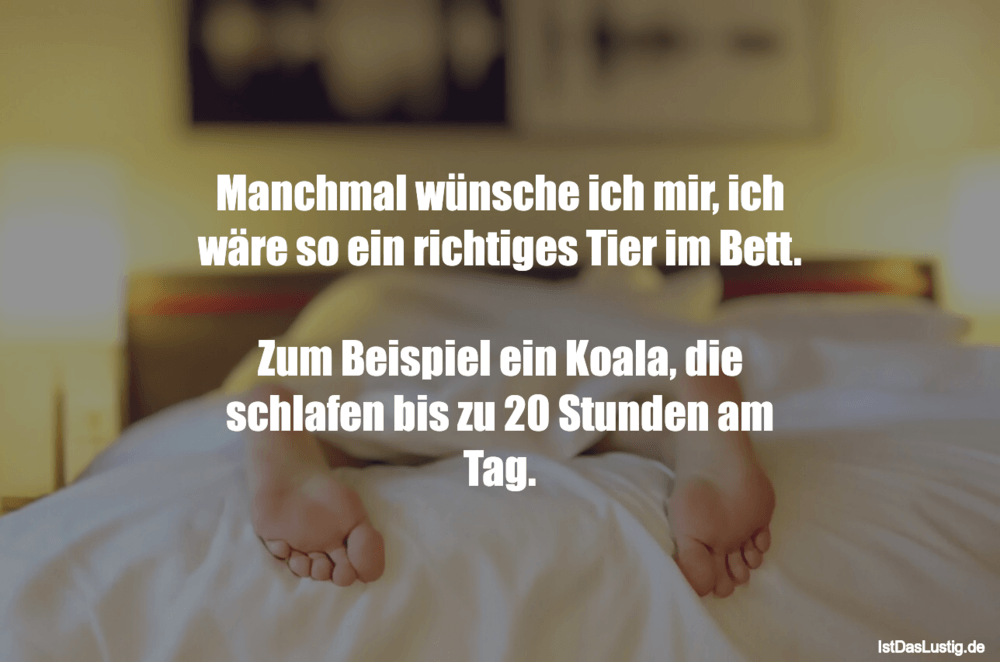 Manchmal Wunsche Ich Mir Ich Ware So Ein Richt