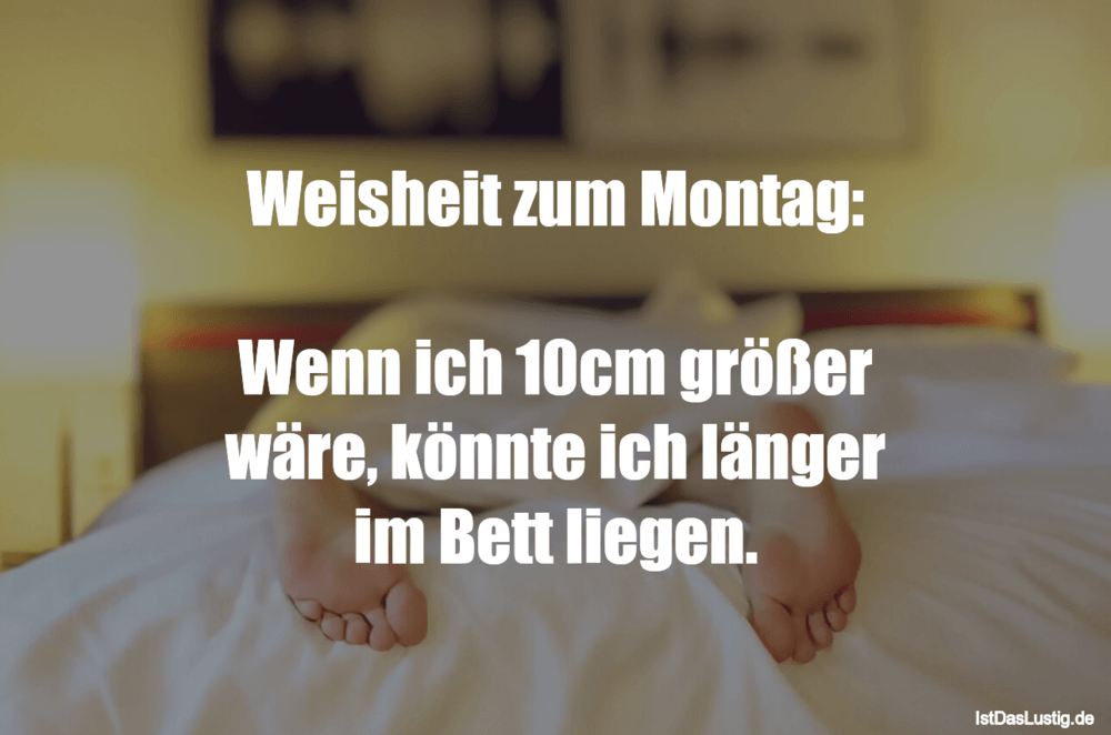 Weisheit Zum Montag Wenn Ich 10cm Grosser Ware Istdaslustig De