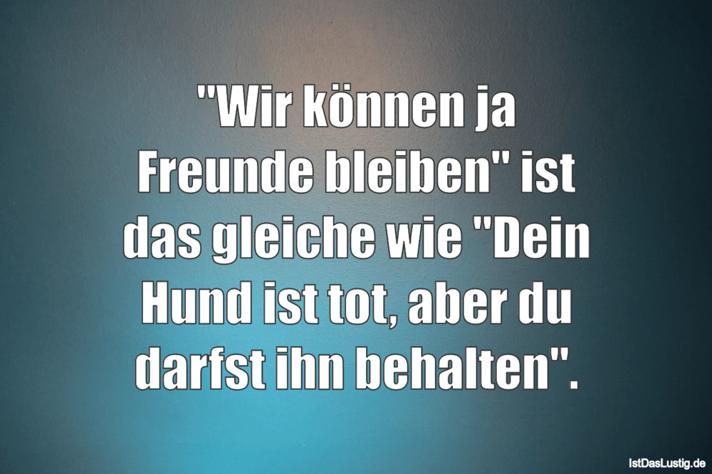 Lustiger BilderSpruch - "Wir können ja Freunde bleiben" ist das gleiche...