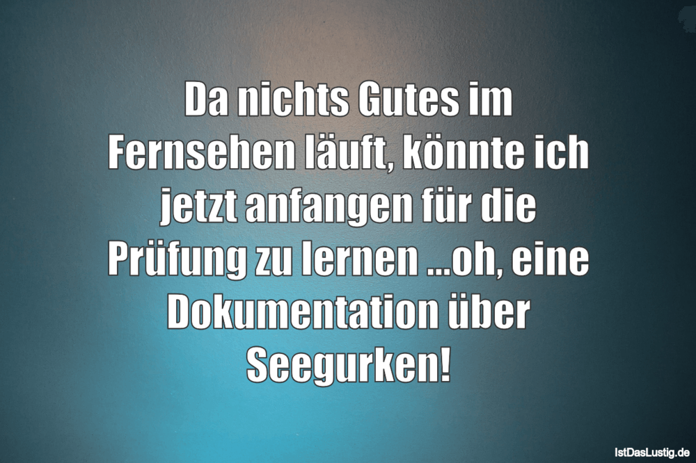 Da Nichts Gutes Im Fernsehen Lauft Konnte Ich Istdaslustig De