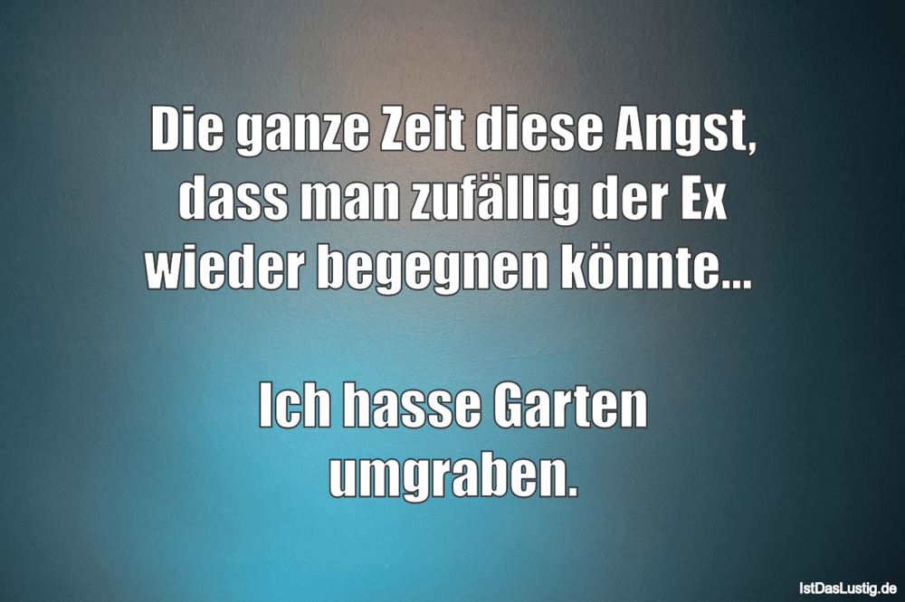 Lustiger BilderSpruch - Die ganze Zeit diese Angst, dass man zufällig...