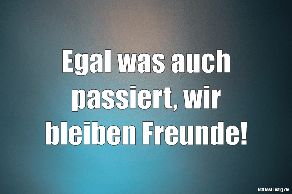 Lustiger BilderSpruch - Egal was auch passiert, wir bleiben Freunde!