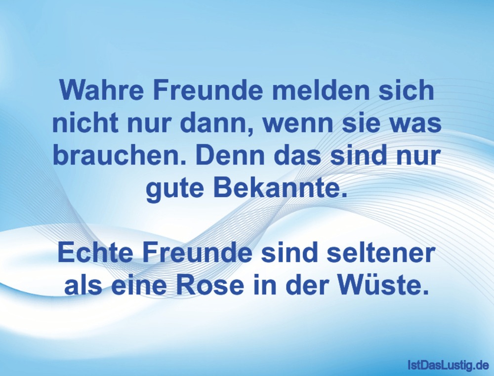 Die Besten 62 Freunde Spruche Auf Istdaslustig De