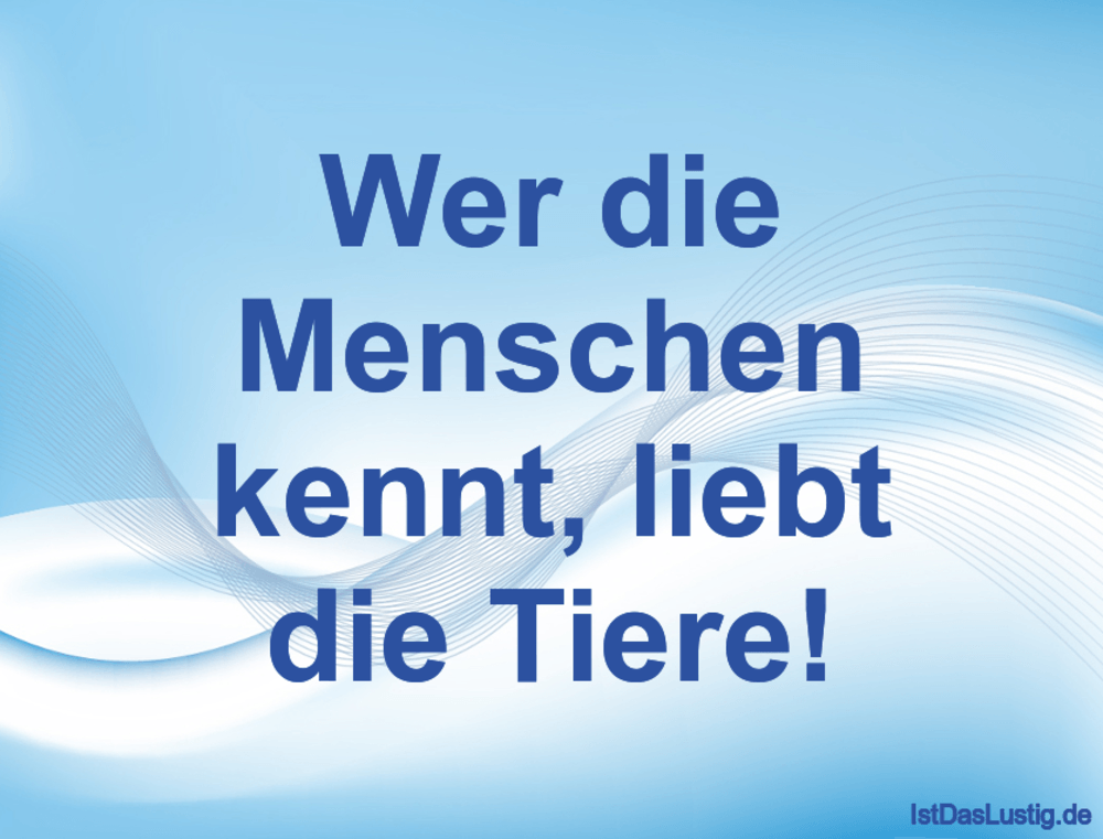 Lustige Spruche Mit Tieren Spruche Weisheiten Schone