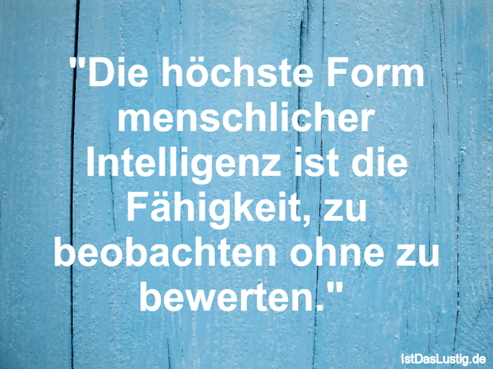 Get Spruch intelligenz For Free Spruch Intelligenz