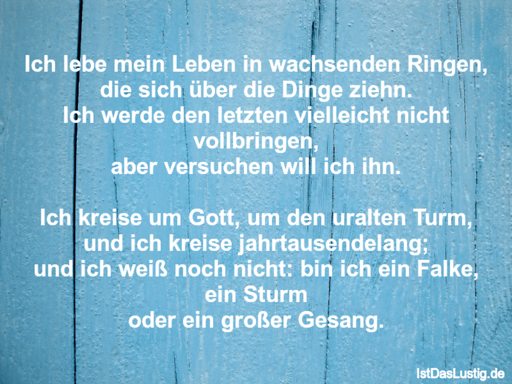 Ich Lebe Mein Leben In Wachsenden Ringen Die S Istdaslustig De Ich Lebe Mein Leben Wie Ich Es Will Sprüche