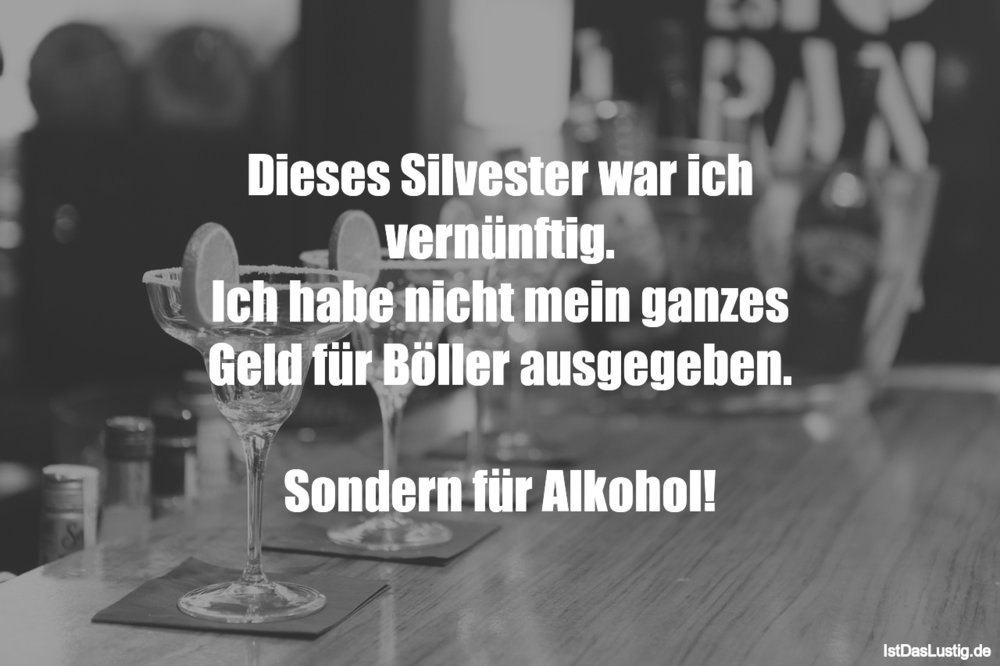 Lustiger BilderSpruch - Dieses Silvester war ich vernünftig. Ich habe n...