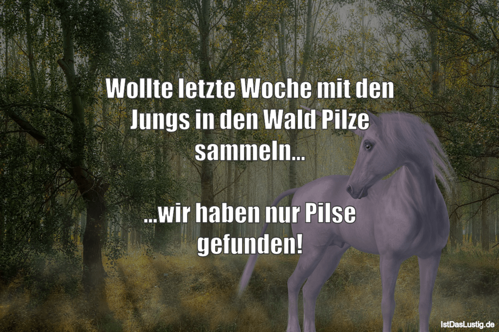 Download Wald spruch lustig For Android Wald Spruch Lustig
