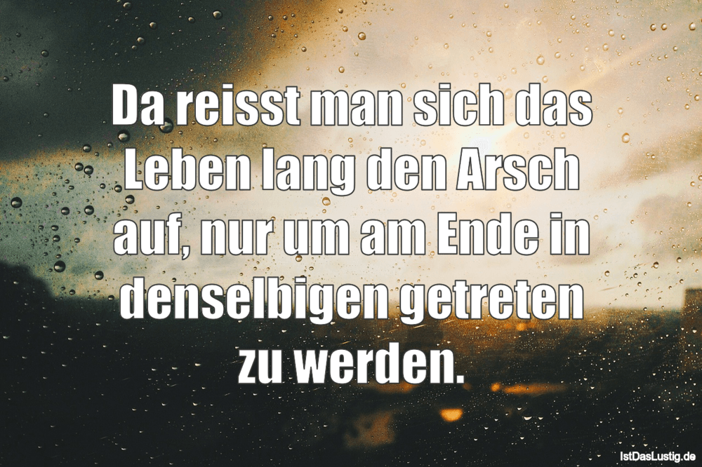 Die Besten 46 Arsch Sprüche Auf Istdaslustigde
