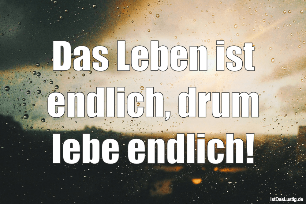 Lustiger BilderSpruch - Das Leben ist endlich, drum lebe endlich!