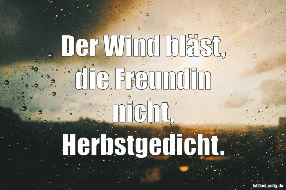 Download Wind sturm sprueche lustig Desktop Wallpaper Free Wind Sturm Sprueche Lustig