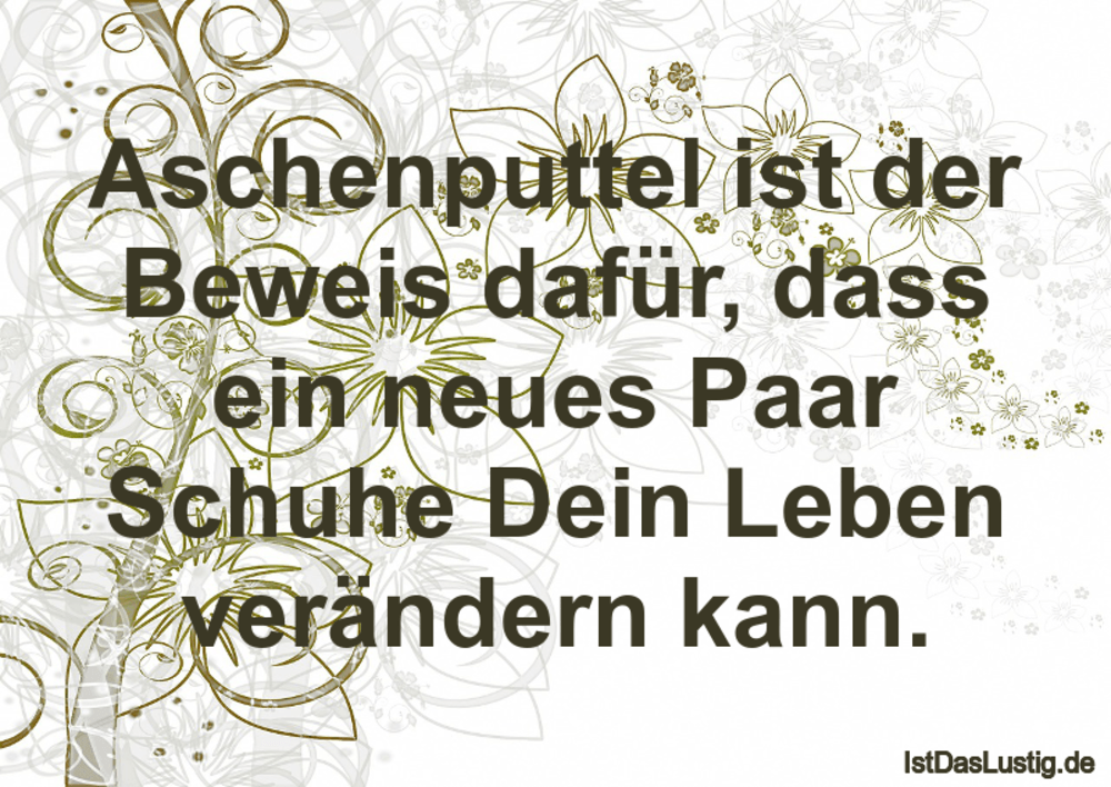 Aschenputtel Ist Der Beweis Dafür Dass Ein Neu Istdaslustigde