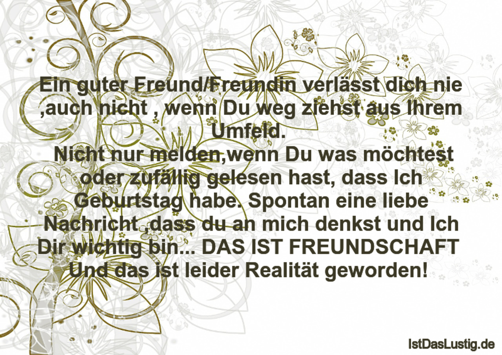 Ein Guter Freund Freundin Verlasst Dich Nie Au Istdaslustig De