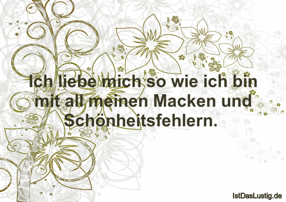 Lustiger BilderSpruch - Ich liebe mich so wie ich bin mit all meinen Ma...