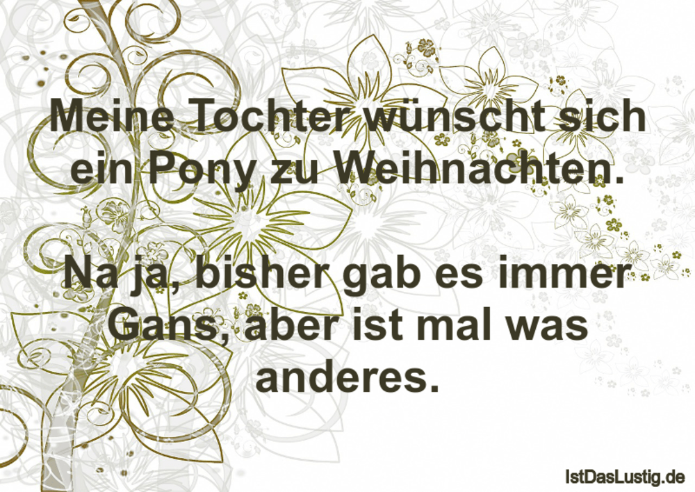 Meine Tochter Wunscht Sich Ein Pony Zu Weihnach Istdaslustig De