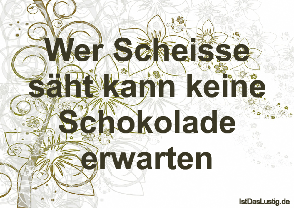Lustige Spruche Zum Schmunzeln Und Teilen Auf Istdaslustig De