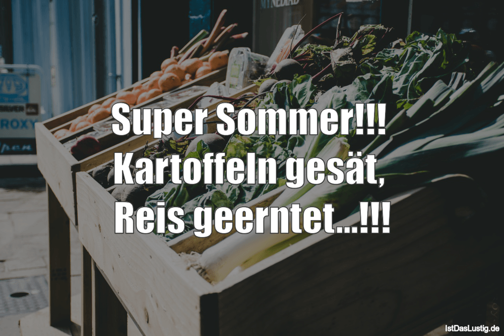 Lustiger BilderSpruch - Super Sommer!!!  Kartoffeln gesät,  Reis geernt...