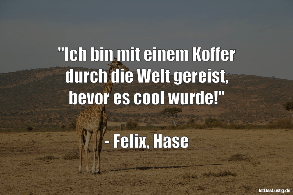 Lustiger BilderSpruch - "Ich bin mit einem Koffer durch die Welt...