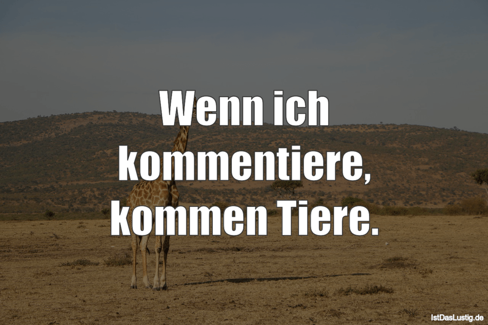 Lustiger BilderSpruch - Wenn ich kommentiere, kommen Tiere.