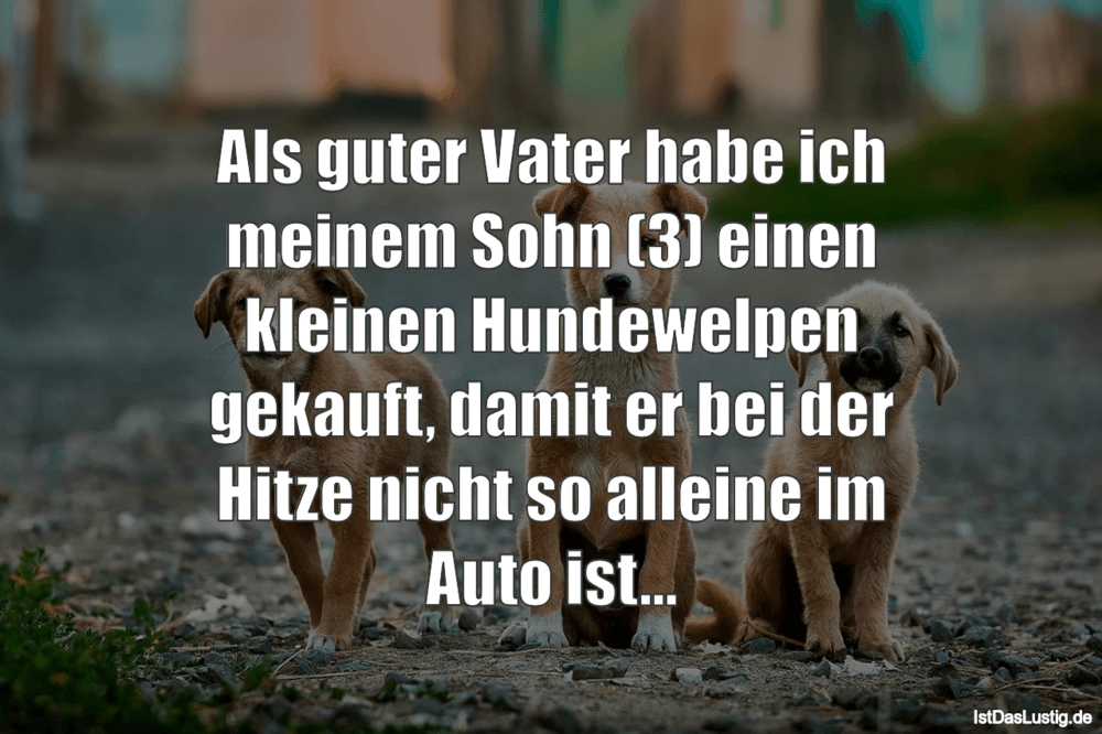 Lustiger BilderSpruch - Als guter Vater habe ich meinem Sohn (3) einen ...