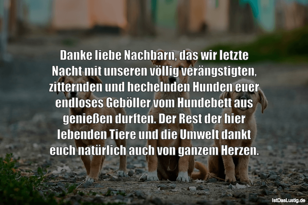 Lustiger BilderSpruch - Danke liebe Nachbarn, das wir letzte Nacht mit...