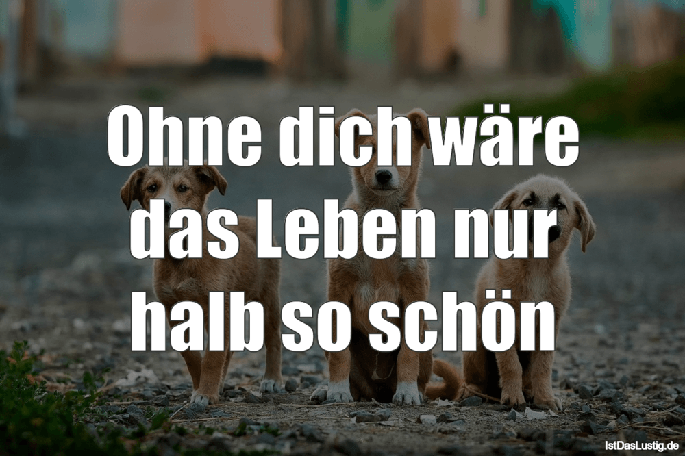 Ohne Dich Ware Das Leben Nur Halb So Schon Istdaslustig De