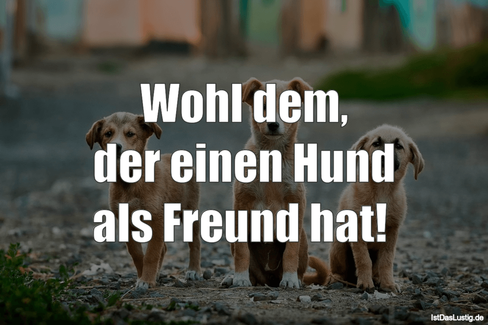 Lustiger BilderSpruch - Wohl dem, der einen Hund als Freund hat! 