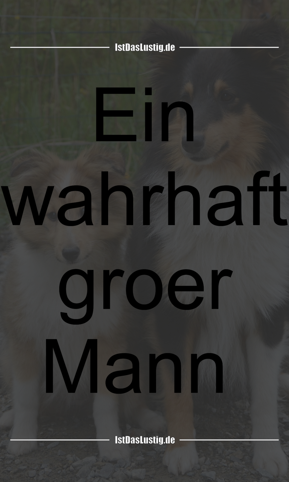 Mann und frau sprüche