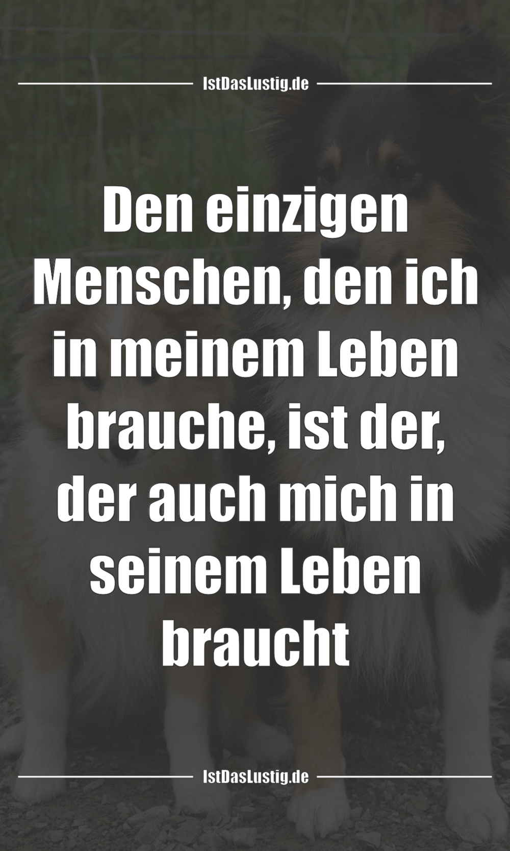 Lustiger BilderSpruch - Den einzigen Menschen, den ich in meinem Leben ...