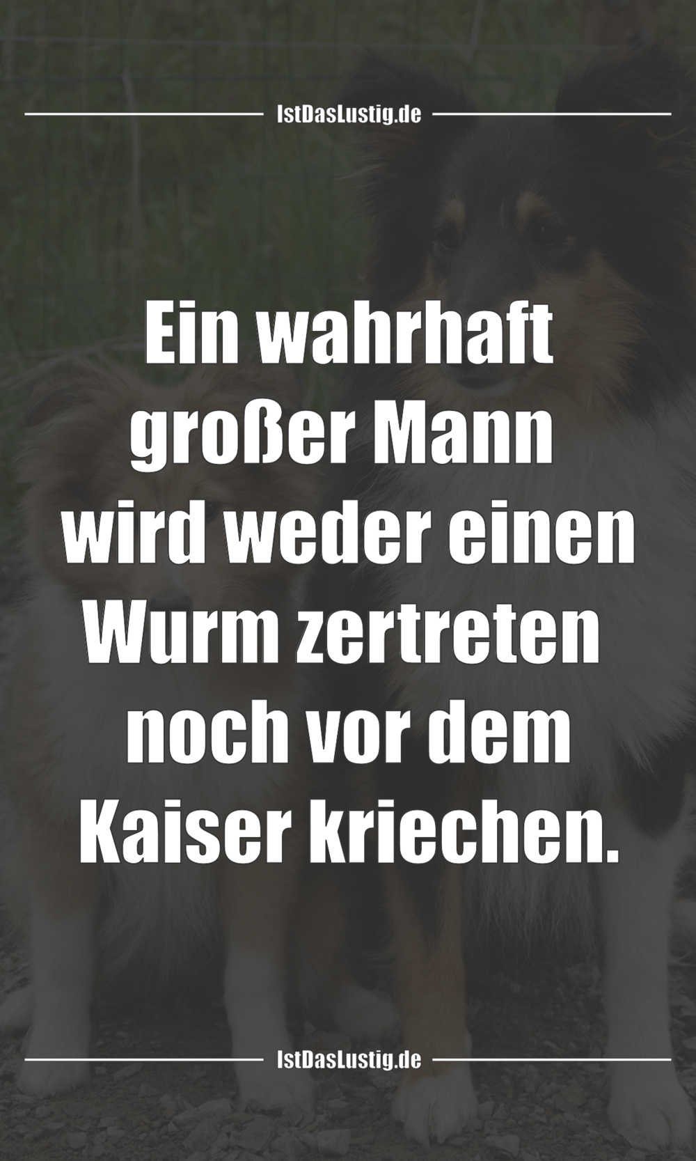 Geburtstagswunsche Ehemann Geburtstagsspruche Fur Den Papa Bzw