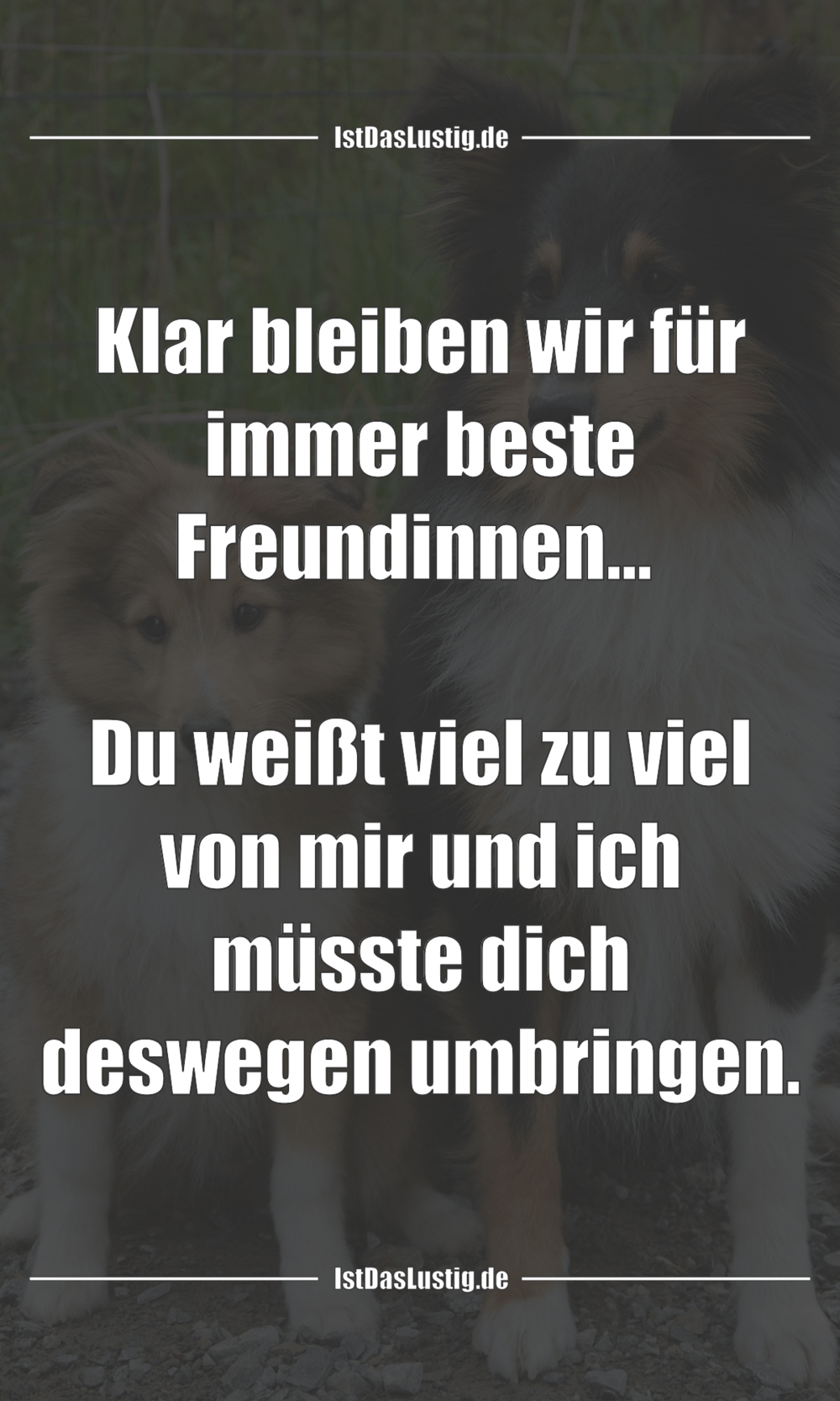 Lustiger BilderSpruch - Klar bleiben wir für immer beste Freundinnen......