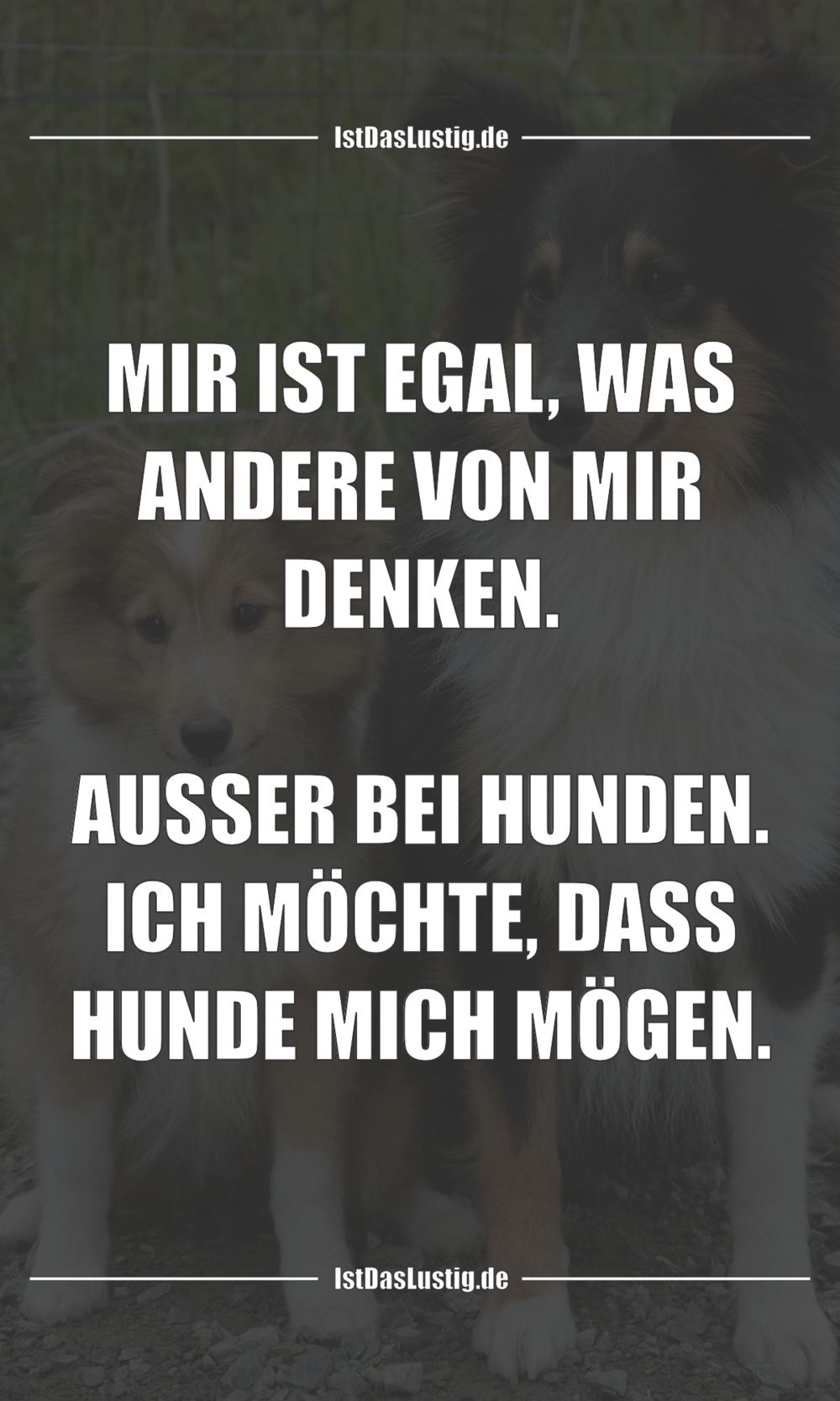 Mir Ist Egal Was Andere Von Mir Denken Ausse