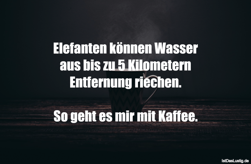 Lustiger BilderSpruch - Elefanten können Wasser aus bis zu 5 Kilometern...