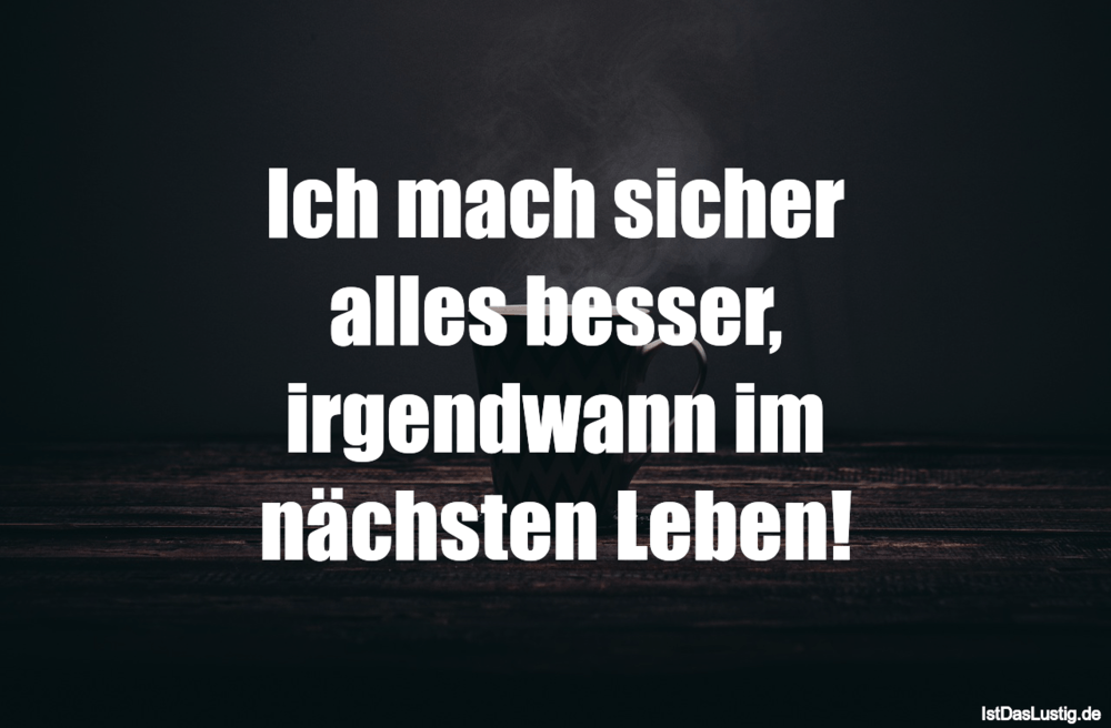 Lustiger BilderSpruch - Ich mach sicher alles besser, irgendwann im näc...