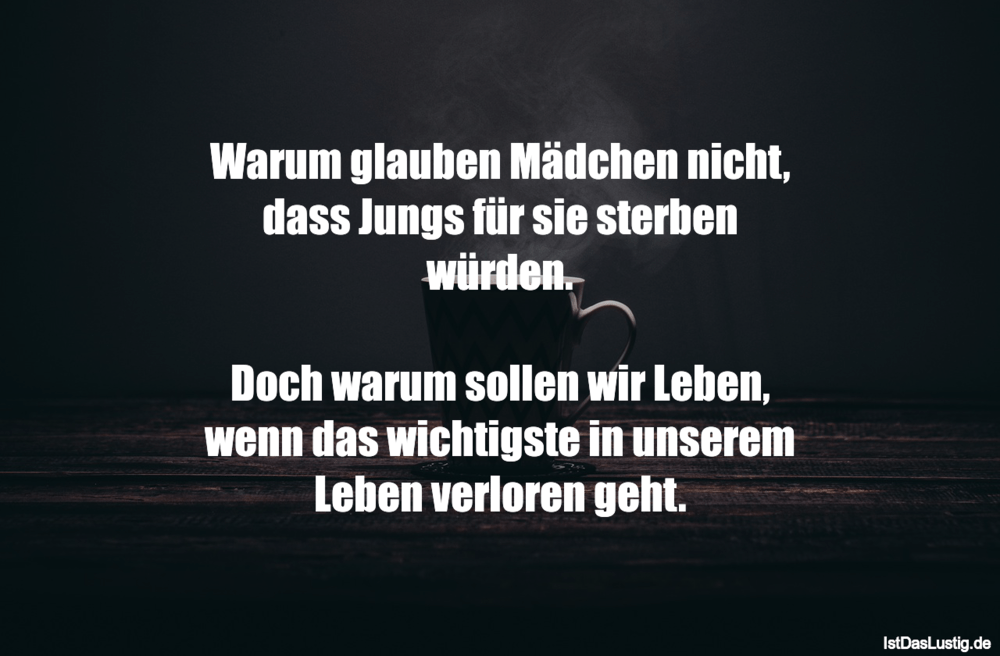 Lustiger BilderSpruch - Warum glauben Mädchen nicht, dass Jungs für sie...