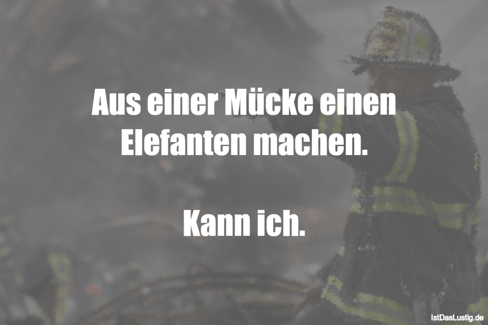 Die Besten 10 Elefanten Spruche Auf Istdaslustig De